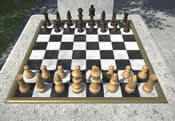 Game Chess In The Park
